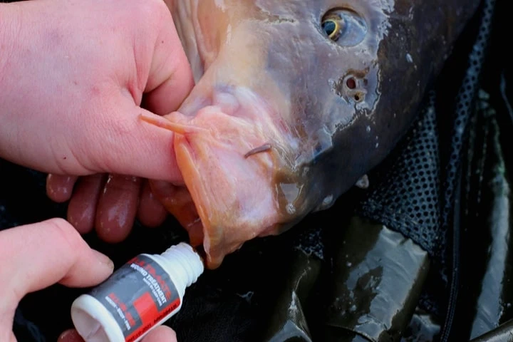 Angling Pursuits Cradle Set - Afbeelding 10