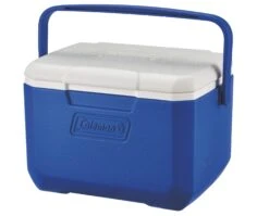 Coleman 5QT Performance 6 Personal Cooler Koelbox (2 Reviews)