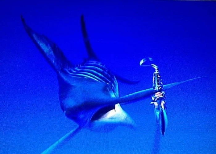 Waterwolf Underwater Fishing Camera 2.0 1080k (11 Reviews) - Afbeelding 5