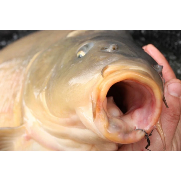 Korda Mixa Hook - Afbeelding 3